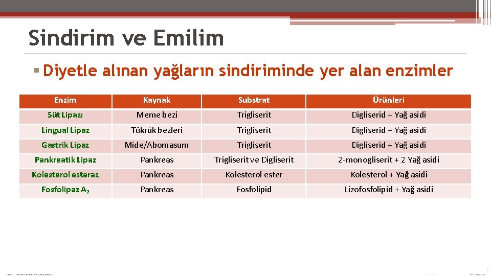 Sindirim ve Emilim Diyetle alınan yağların sindiriminde yer alan enzimler Enzim Kaynak Substrat Ürünleri