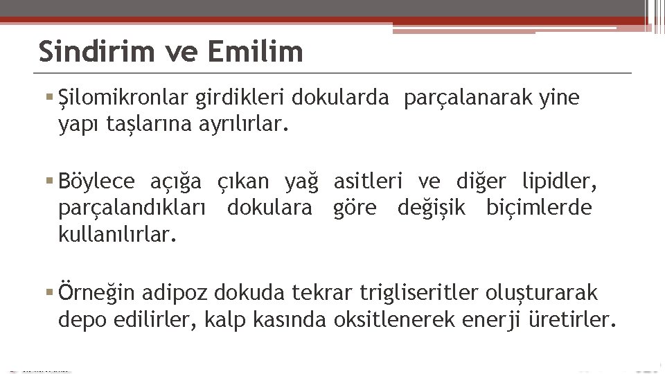 Sindirim ve Emilim Şilomikronlar girdikleri dokularda parçalanarak yine yapı taşlarına ayrılırlar. Böylece açığa çıkan