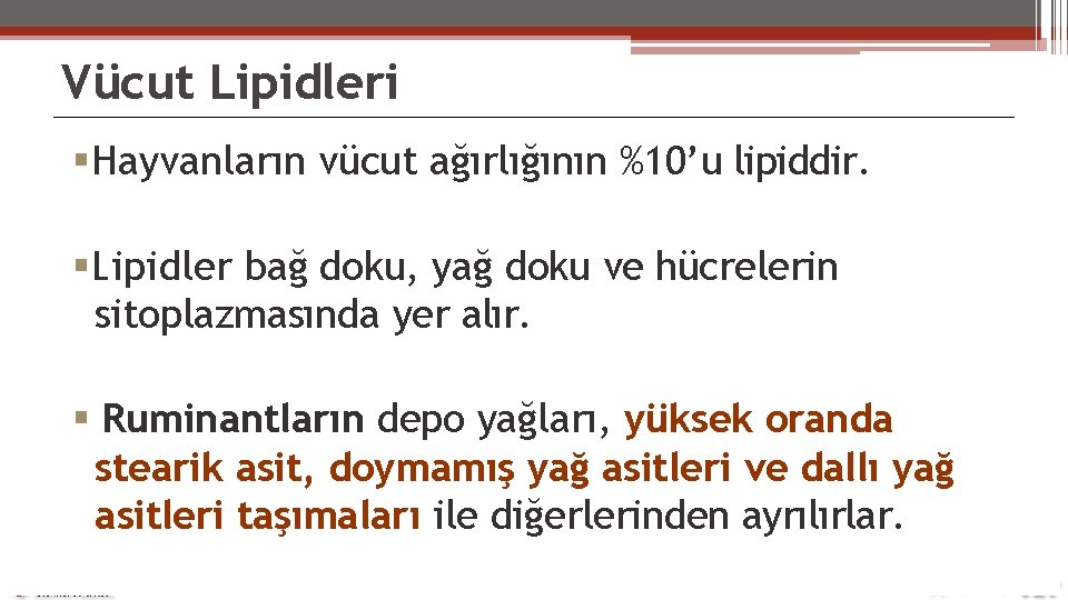 Vücut Lipidleri Hayvanların vücut ağırlığının %10’u lipiddir. Lipidler bağ doku, yağ doku ve hücrelerin