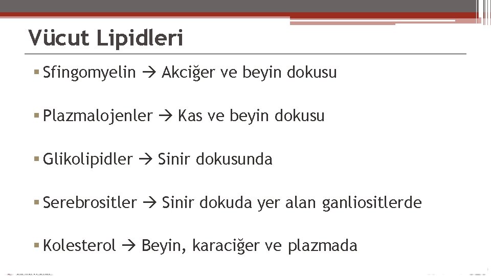 Vücut Lipidleri Sfingomyelin Akciğer ve beyin dokusu Plazmalojenler Kas ve beyin dokusu Glikolipidler Sinir