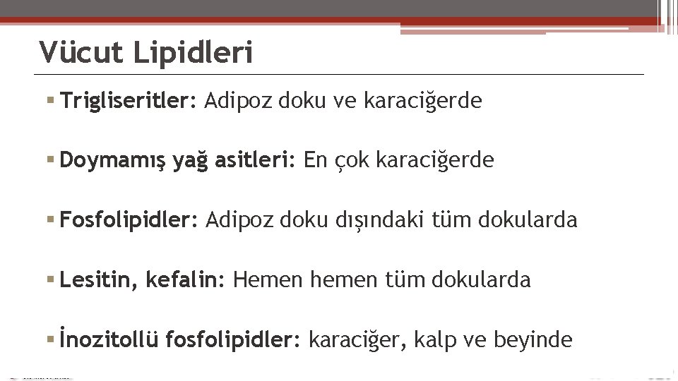 Vücut Lipidleri Trigliseritler: Adipoz doku ve karaciğerde Doymamış yağ asitleri: En çok karaciğerde Fosfolipidler: