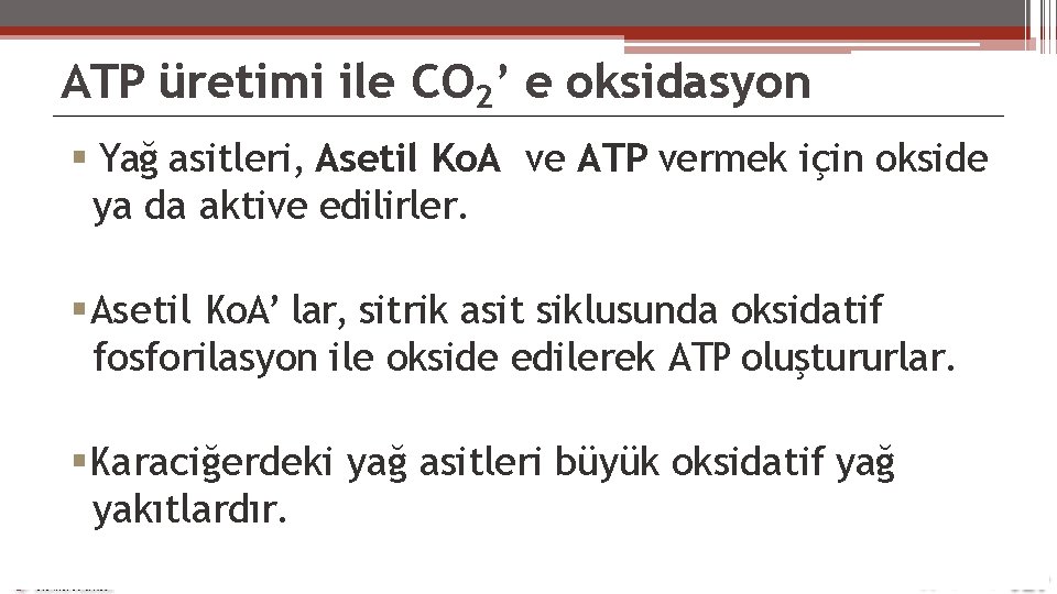 ATP üretimi ile CO 2’ e oksidasyon Yağ asitleri, Asetil Ko. A ve ATP