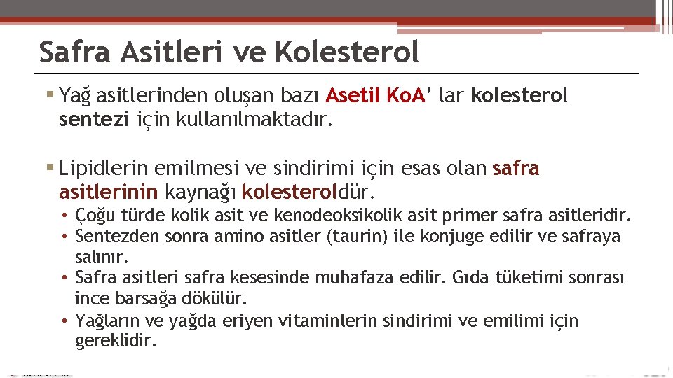 Safra Asitleri ve Kolesterol Yağ asitlerinden oluşan bazı Asetil Ko. A’ lar kolesterol sentezi