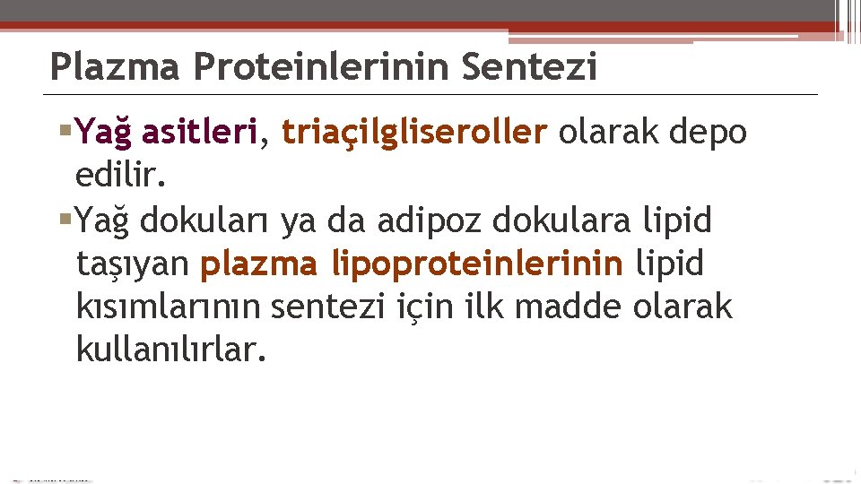 Plazma Proteinlerinin Sentezi Yağ asitleri, triaçilgliseroller olarak depo edilir. Yağ dokuları ya da adipoz