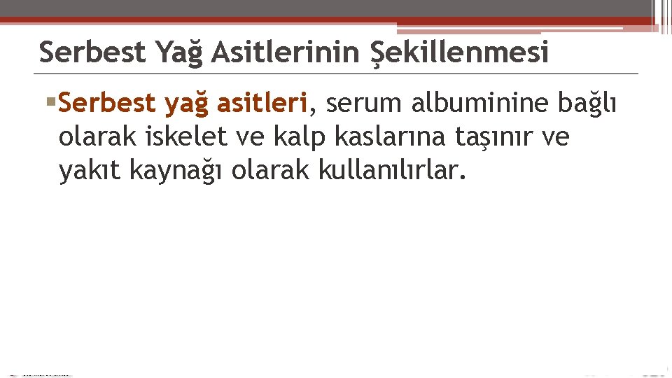 Serbest Yağ Asitlerinin Şekillenmesi Serbest yağ asitleri, serum albuminine bağlı olarak iskelet ve kalp