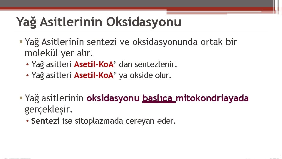 Yağ Asitlerinin Oksidasyonu Yağ Asitlerinin sentezi ve oksidasyonunda ortak bir molekül yer alır. •