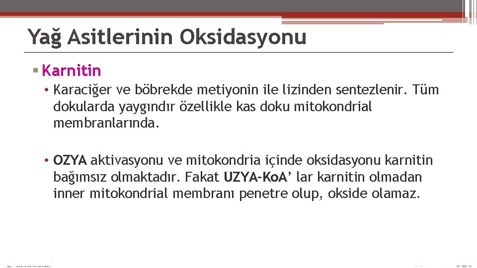 Yağ Asitlerinin Oksidasyonu Karnitin • Karaciğer ve böbrekde metiyonin ile lizinden sentezlenir. Tüm dokularda