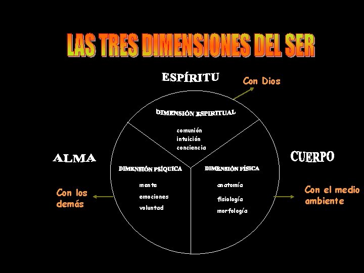 Con Dios comunión intuición conciencia Con los demás mente anatomía emociones fisiología voluntad morfología