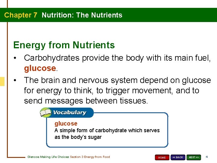 Chapter 7 Nutrition: The Nutrients Energy from Nutrients • Carbohydrates provide the body with