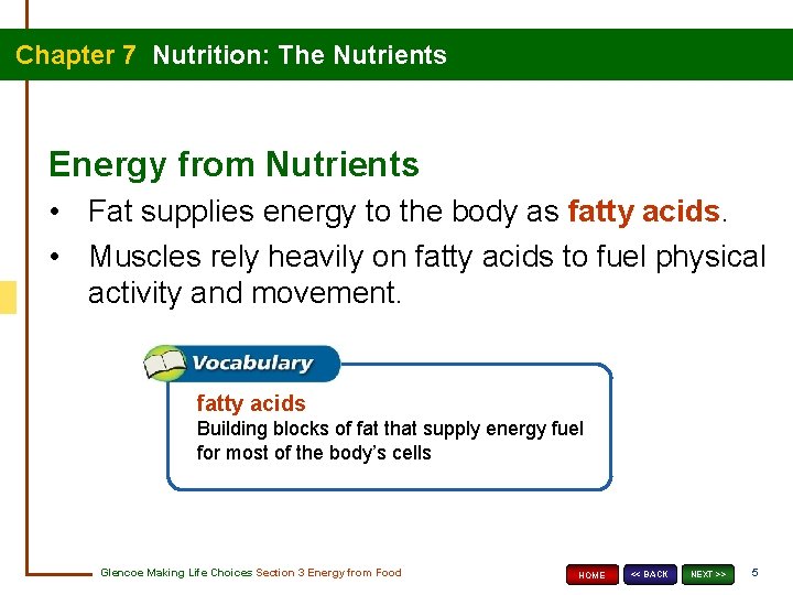 Chapter 7 Nutrition: The Nutrients Energy from Nutrients • Fat supplies energy to the