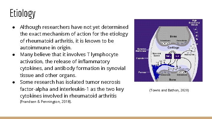 Etiology ● Although researchers have not yet determined the exact mechanism of action for