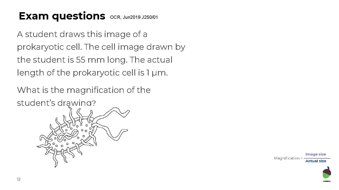 Exam questions OCR, Jun 2019 J 250/01 A student draws this image of a