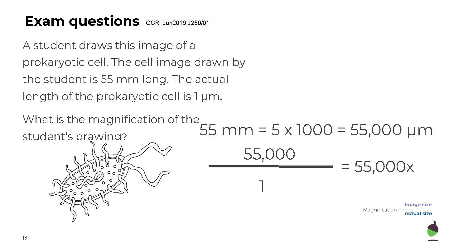 Exam questions OCR, Jun 2019 J 250/01 A student draws this image of a