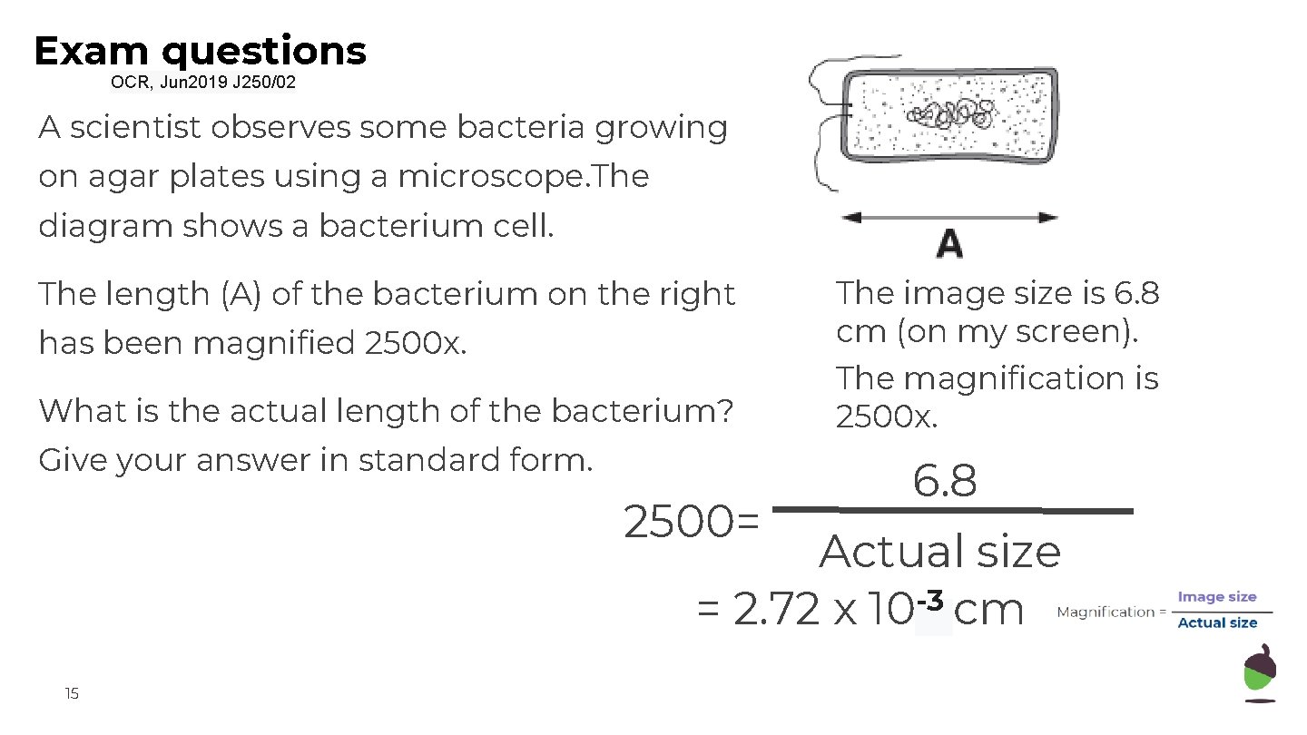 Exam questions OCR, Jun 2019 J 250/02 A scientist observes some bacteria growing on