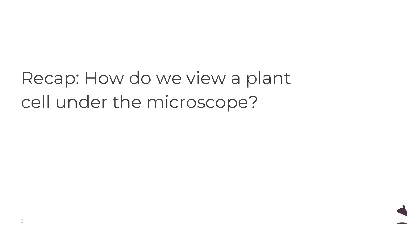 Recap: How do we view a plant cell under the microscope? 2 