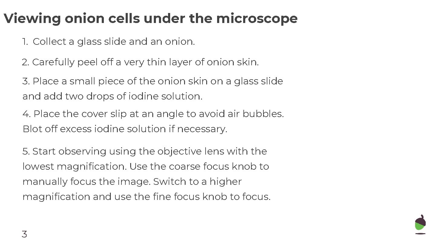 Viewing onion cells under the microscope 1. Collect a glass slide and an onion.