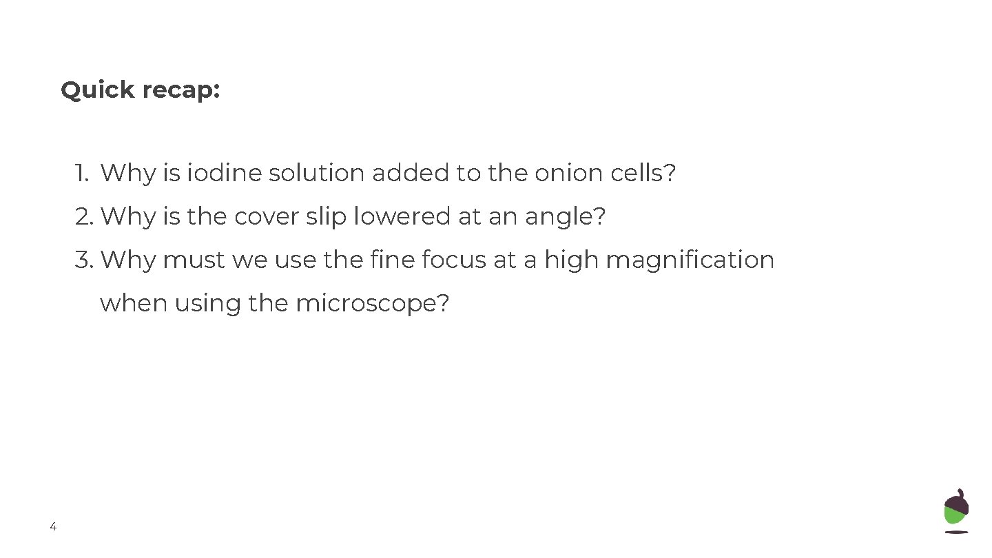 Quick recap: 1. Why is iodine solution added to the onion cells? 2. Why