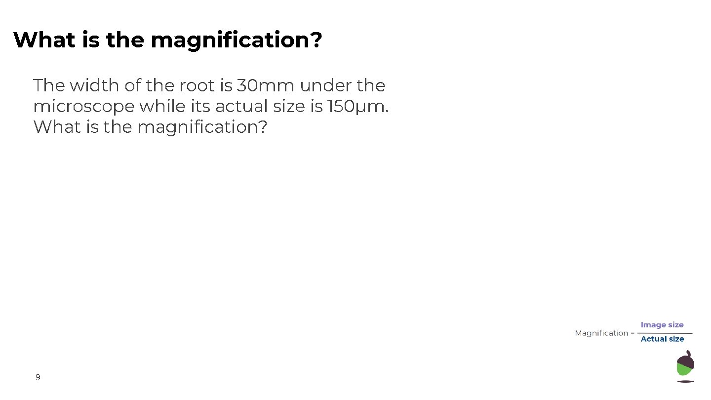 What is the magnification? The width of the root is 30 mm under the