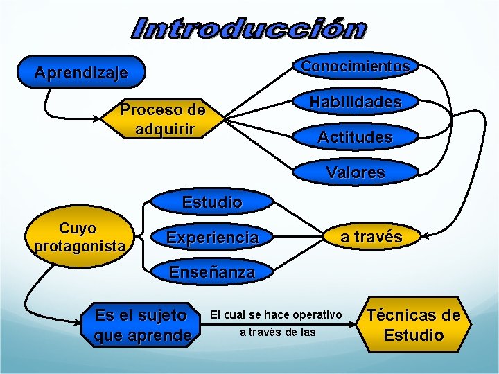 Conocimientos Aprendizaje Habilidades Proceso de adquirir Actitudes Valores Estudio Cuyo protagonista Experiencia a través