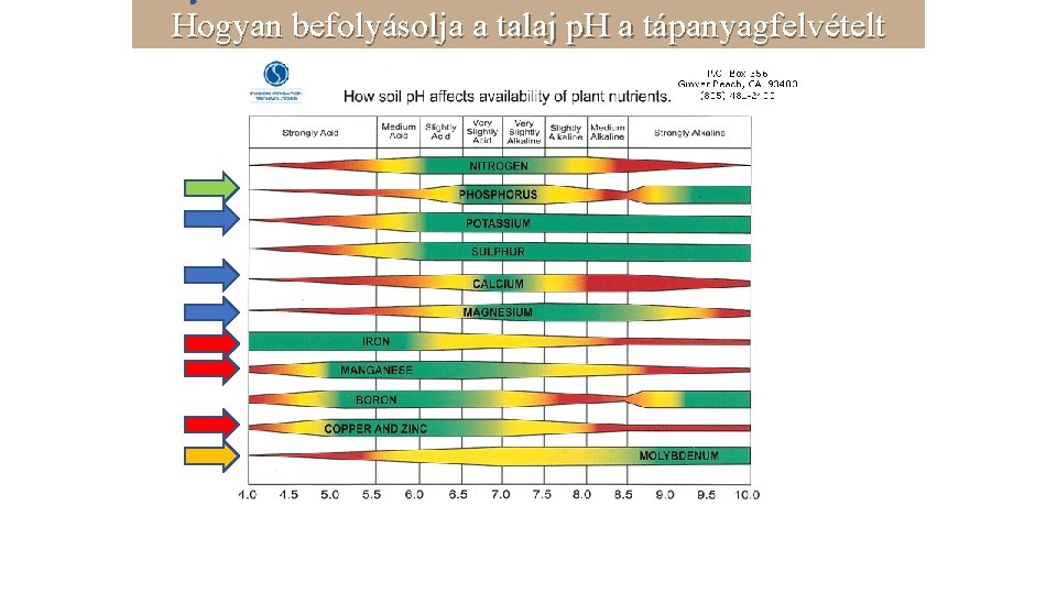 Hogyan befolyásolja a talaj p. H a tápanyagfelvételt 