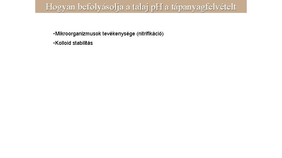 Hogyan befolyásolja a talaj p. H a tápanyagfelvételt • Mikroorganizmusok tevékenysége (nitrifikáció) • Kolloid