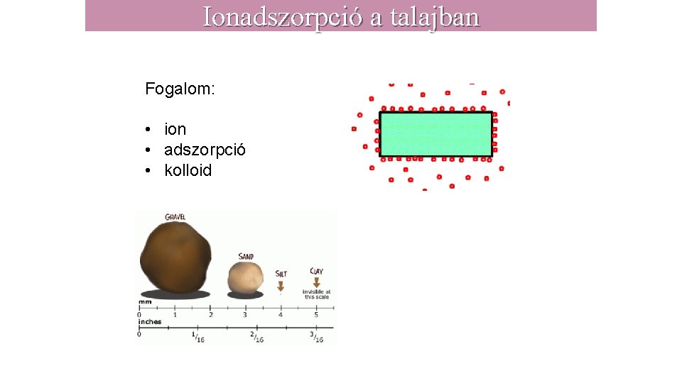 Ionadszorpció a talajban Fogalom: • ion • adszorpció • kolloid 