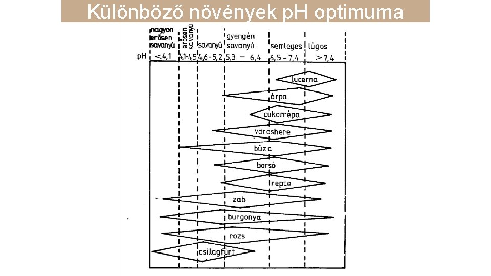 Különböző növények p. H optimuma 