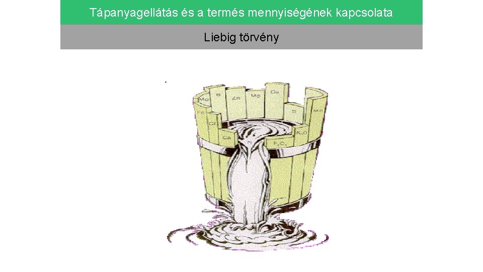 Tápanyagellátás és a termés mennyiségének kapcsolata Liebig törvény 