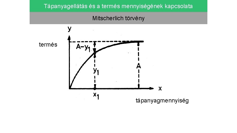 Tápanyagellátás és a termés mennyiségének kapcsolata Mitscherlich törvény termés tápanyagmennyiség 