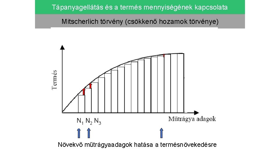 Tápanyagellátás és a termés mennyiségének kapcsolata Mitscherlich törvény (csökkenő hozamok törvénye) Növekvő műtrágyaadagok hatása