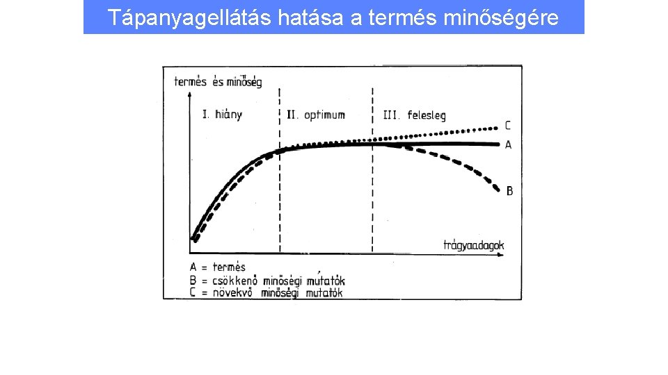 Tápanyagellátás hatása a termés minőségére 