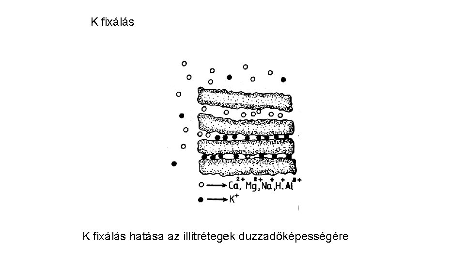 K fixálás hatása az illitrétegek duzzadőképességére 