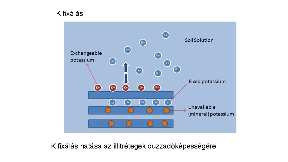 K fixálás hatása az illitrétegek duzzadőképességére 