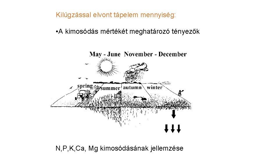 Kilúgzással elvont tápelem mennyiség: • A kimosódás mértékét meghatározó tényezők N, P, K, Ca,