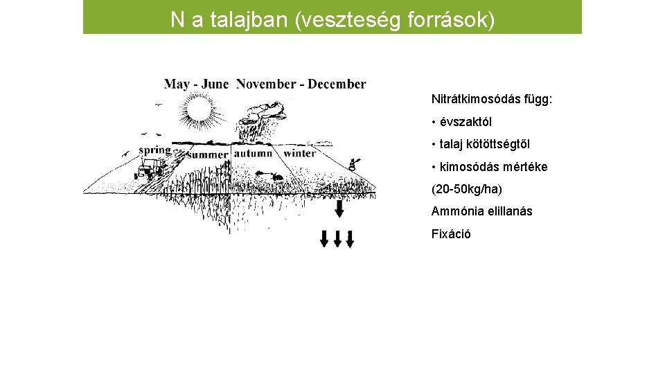 N a talajban (veszteség források) Nitrátkimosódás függ: • évszaktól • talaj kötöttségtől • kimosódás