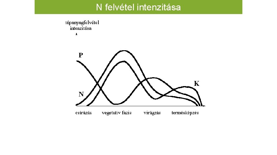 N felvétel intenzitása 