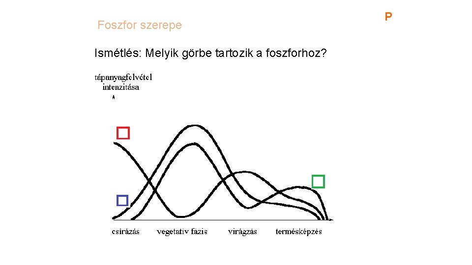 Foszfor szerepe Ismétlés: Melyik görbe tartozik a foszforhoz? P 