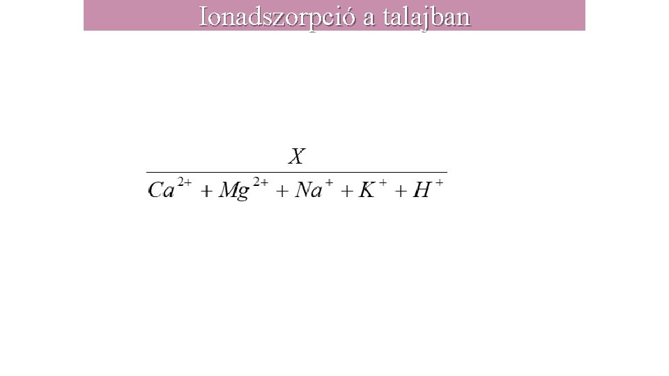 Ionadszorpció a talajban 