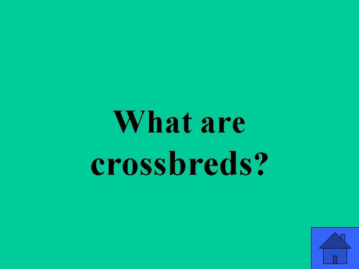 Q 2 a What are crossbreds? 15 Q 2 a What are crossbreds? 15