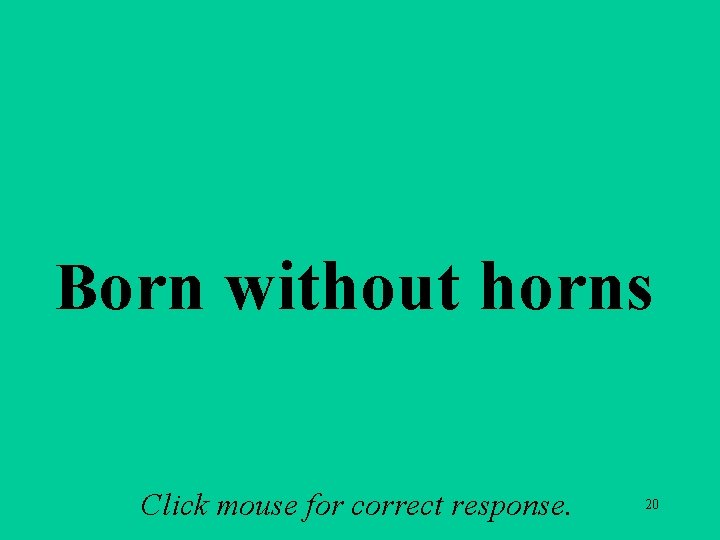 A 2 d Born without horns Click mouse for correct response. 20 