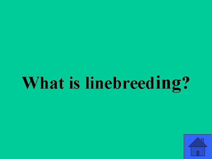 Q 2 e What is linebreeding? 23 Q 2 e What is linebreeding? 23