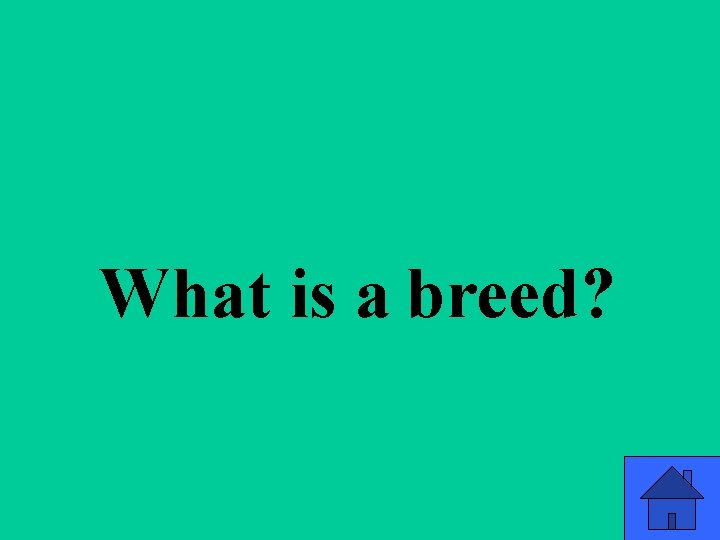 Q 3 a What is a breed? 25 Q 3 a What is a breed? 25