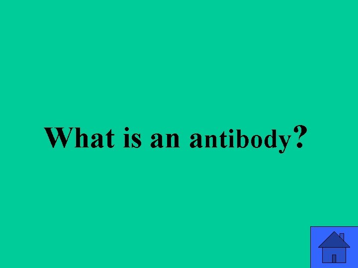 What is an antibody? 36 