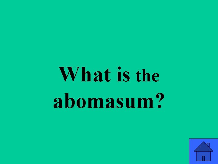q 3 a What is the abomasum? 40 q 3 a What is the abomasum? 40