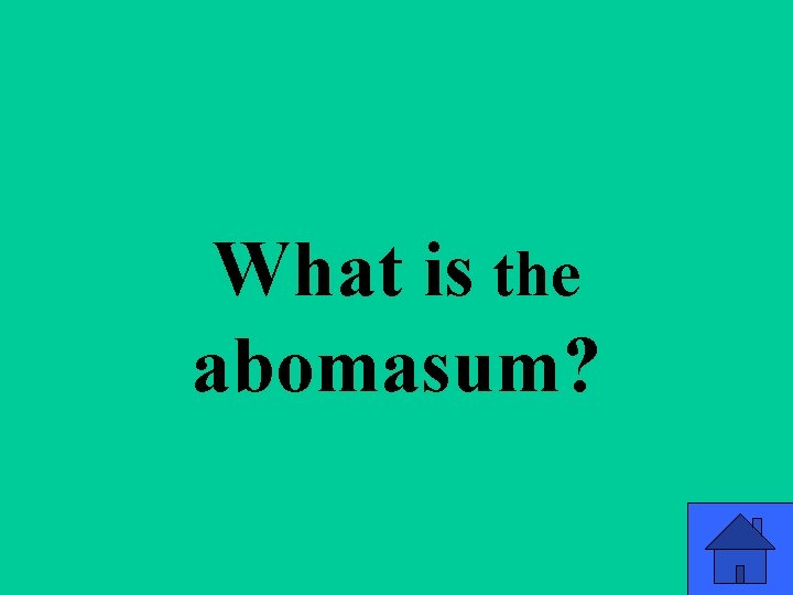 q 3 a What is the abomasum? 40 