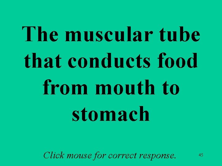 The muscular tube that conducts food from mouth to stomach Click mouse for correct