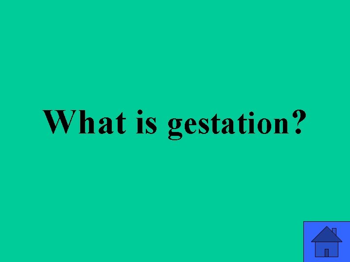 What is gestation? 52 What is gestation? 52