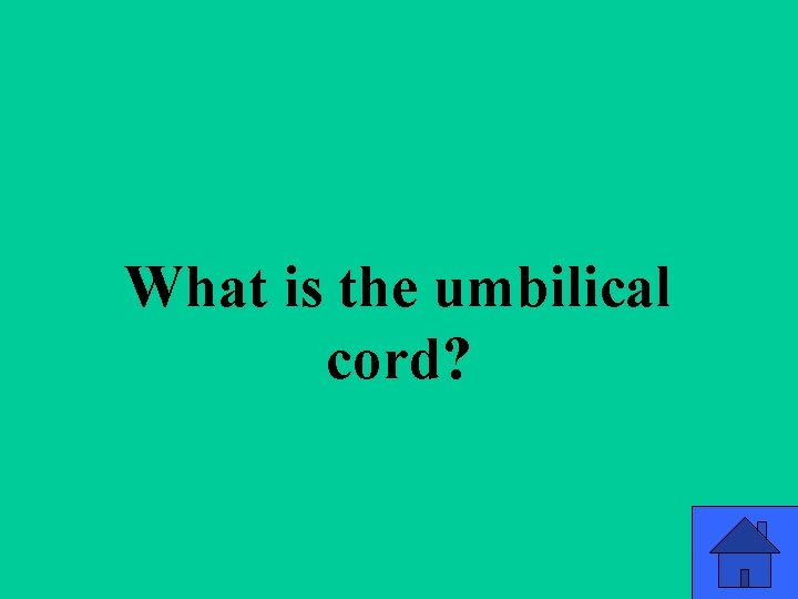 q 4 b What is the umbilical cord? 54 q 4 b What is the umbilical cord? 54