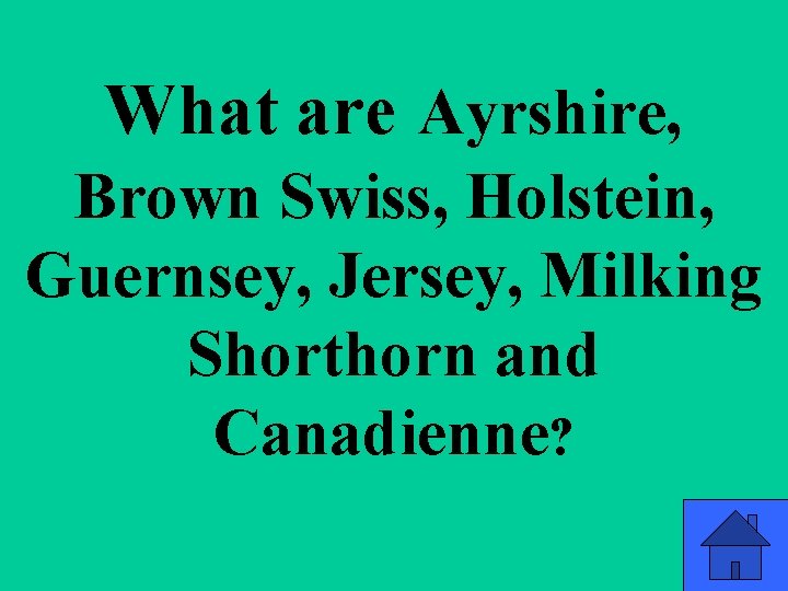 What are Ayrshire, Brown Swiss, Holstein, Guernsey, Jersey, Milking Shorthorn and Canadienne? 59 