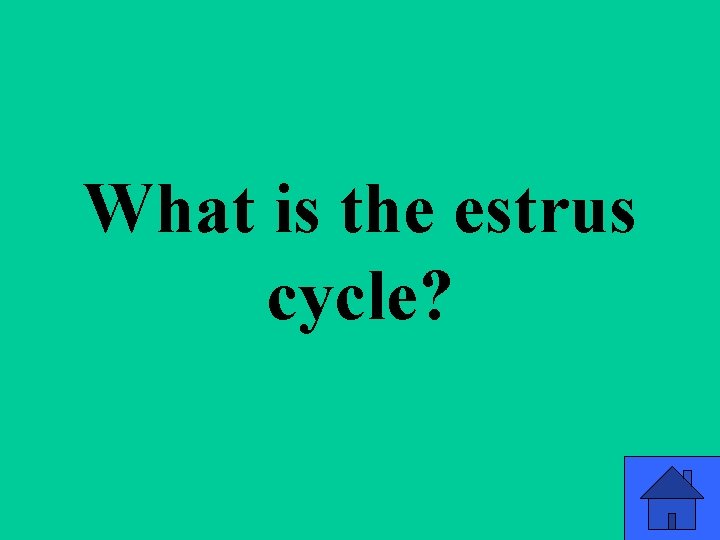 What is the estrus cycle? 61 